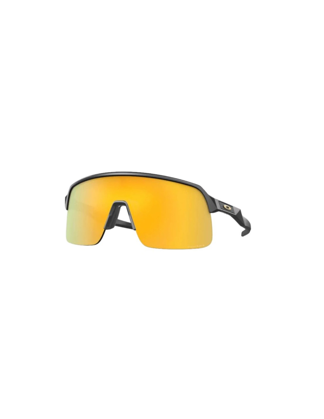 Gafas Oakley Sutro Lite Carbon con lentes Prizm